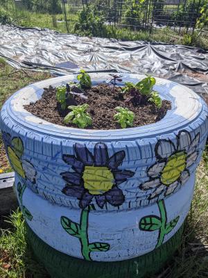 Christian Activity Center's community garden.